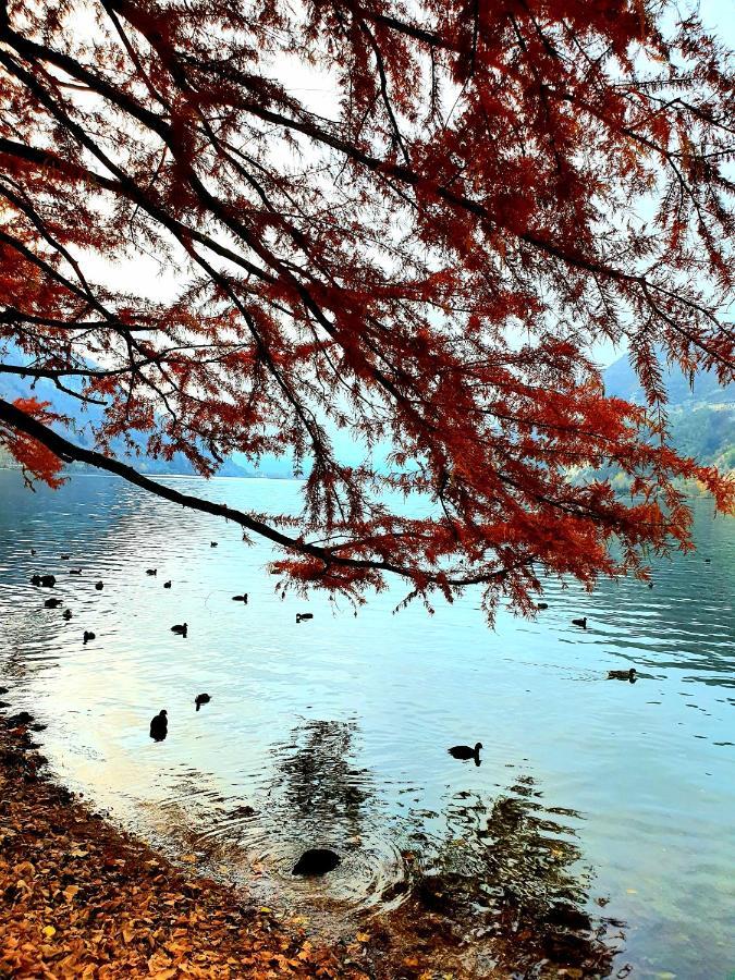 Home Nantua Studio Meubles Ain-Jura Εξωτερικό φωτογραφία